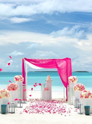 Honeymoon & Weddings